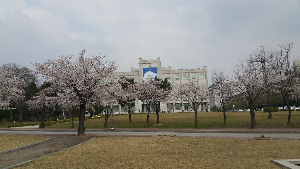 전북대학교 중앙도서관.JPG | 인스티즈