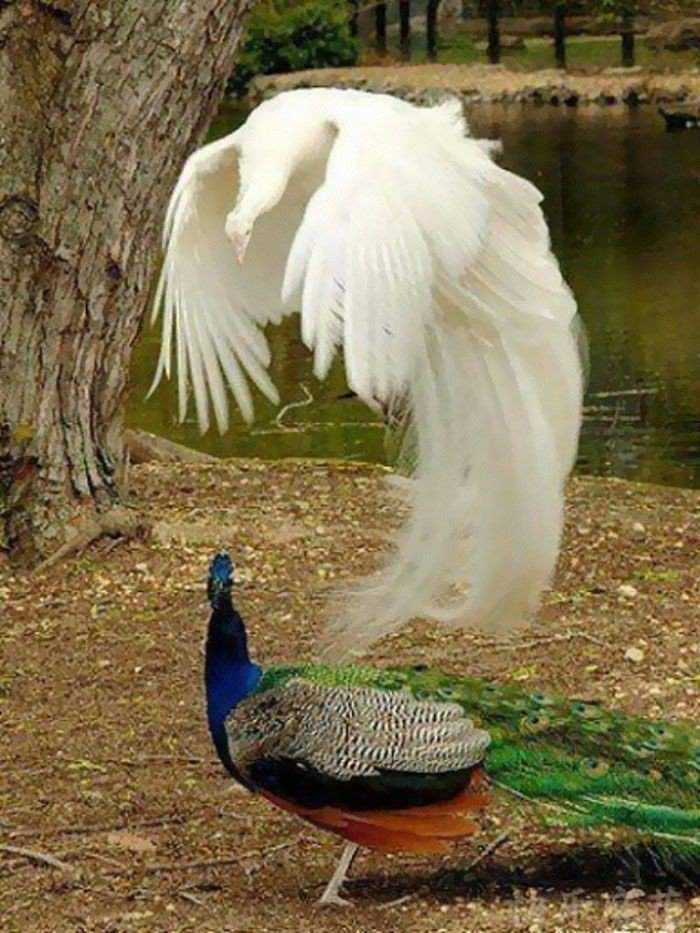 포토샾같은 진짜 풍경사진.jpg | 인스티즈