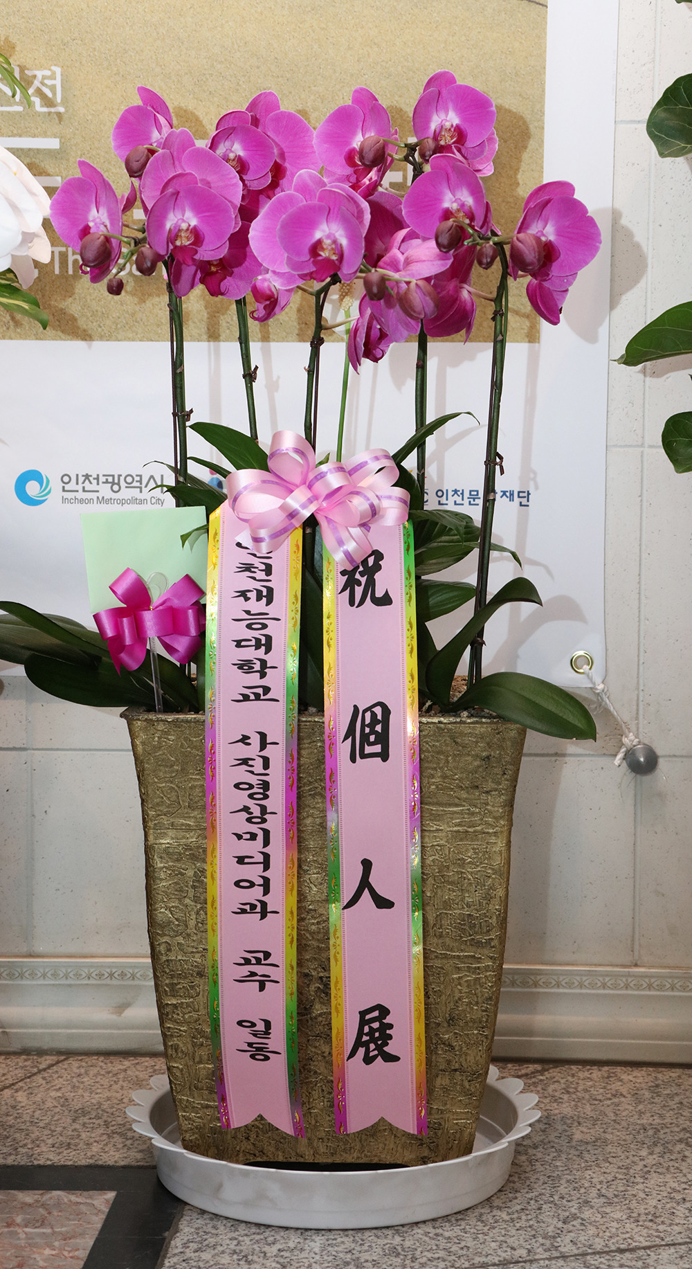 란갤러리 이미지