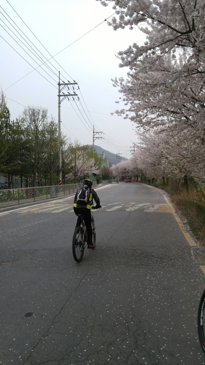 광장사 이미지