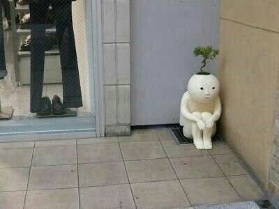 코코들 이미지