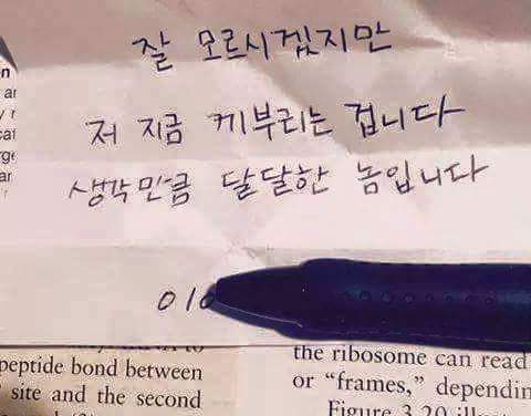 도서관에서 하라는 공부는 안하고.. | 인스티즈