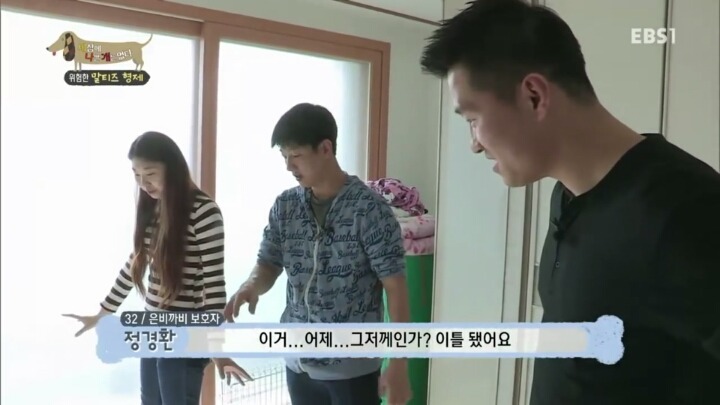 공격적인 반려견이 되는 이유 2부.jp | 인스티즈