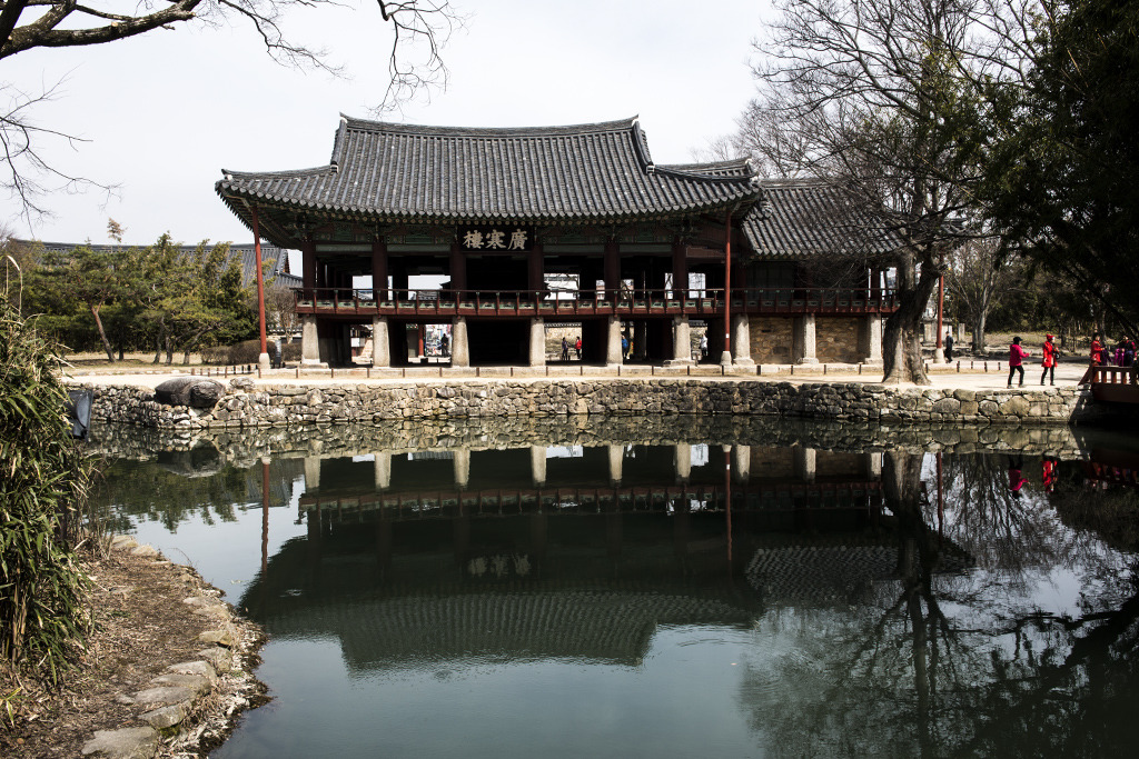배창 이미지