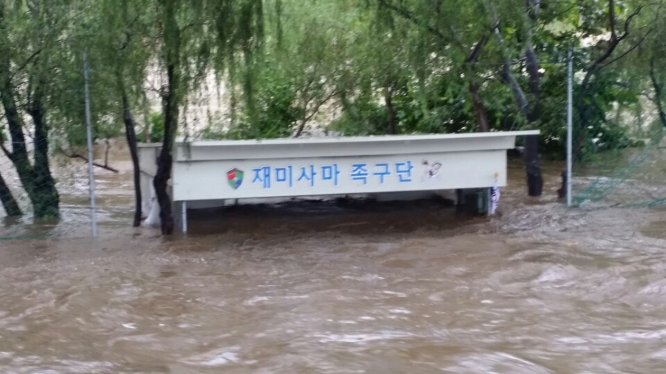 재미사마 이미지