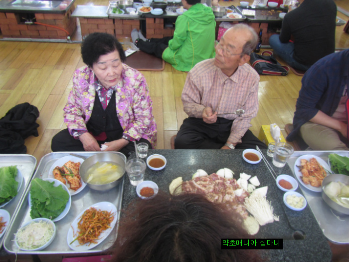 황금오리 이미지