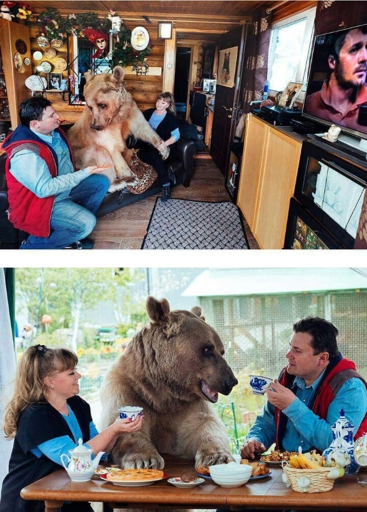 곰은 우리가족 | 인스티즈