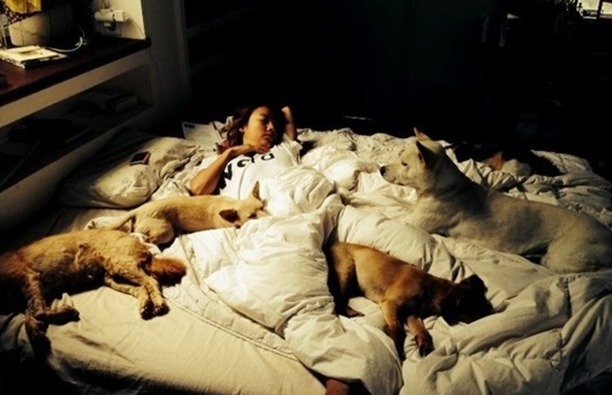 반려동물 사지 않고 입양한 연예인들.jpg | 인스티즈