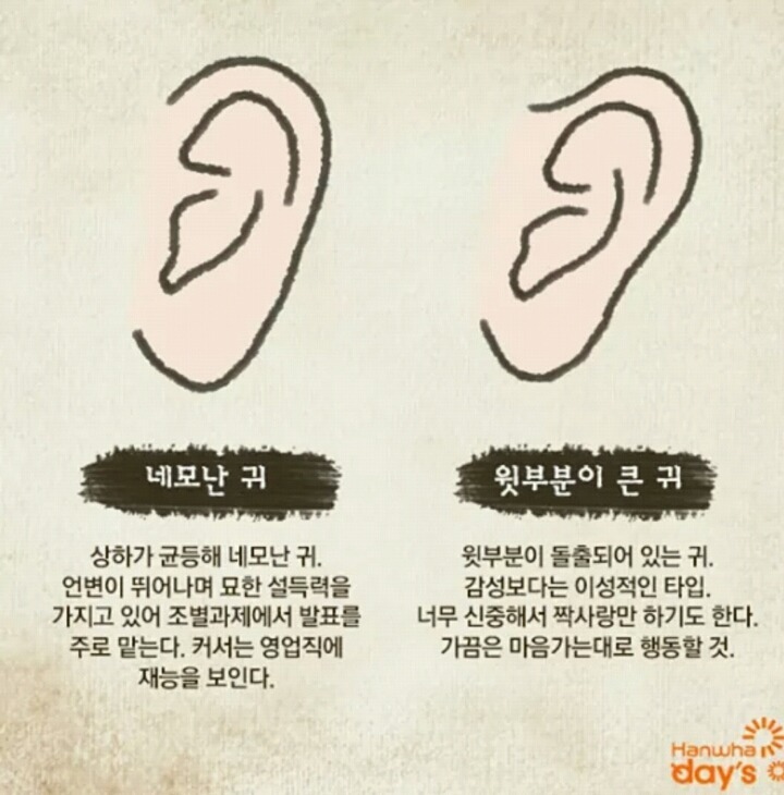 귀모양으로 보는 성격! | 인스티즈