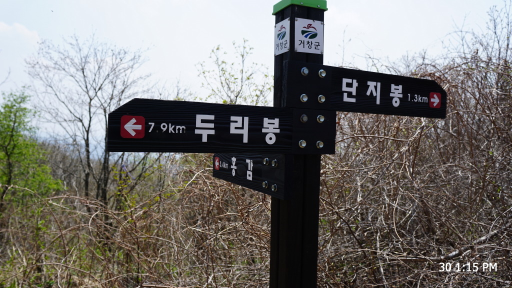 개금약초 이미지