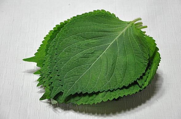 라면을 맛있게 끓이는 13가지 방법.jpg | 인스티즈