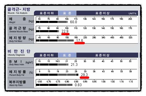 구미퍼스널트레이닝웰라인휘트니스 이미지