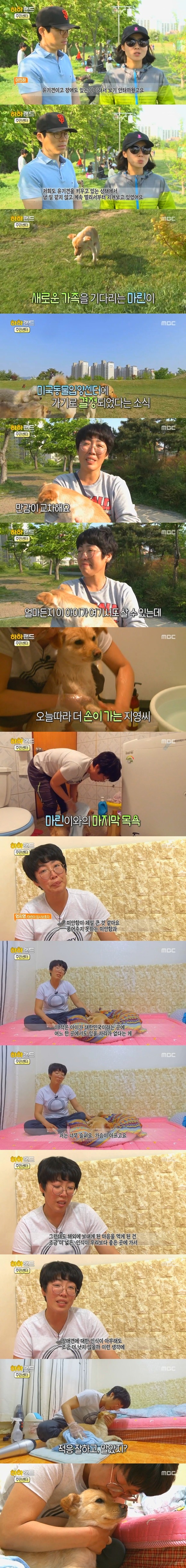 [사진/움짤多] 저는 유기견 마린이입니다. 제 가족이 되어주실 분 없나요? | 인스티즈