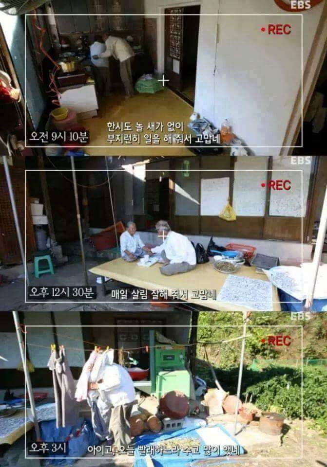 한 날 저녁에 같이 가요 | 인스티즈