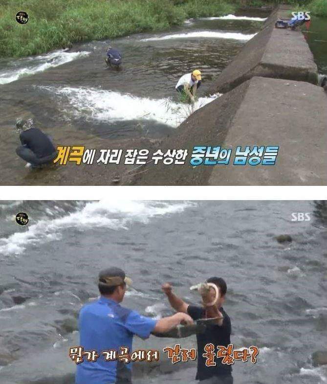 자연산 장어의 위엄 | 인스티즈