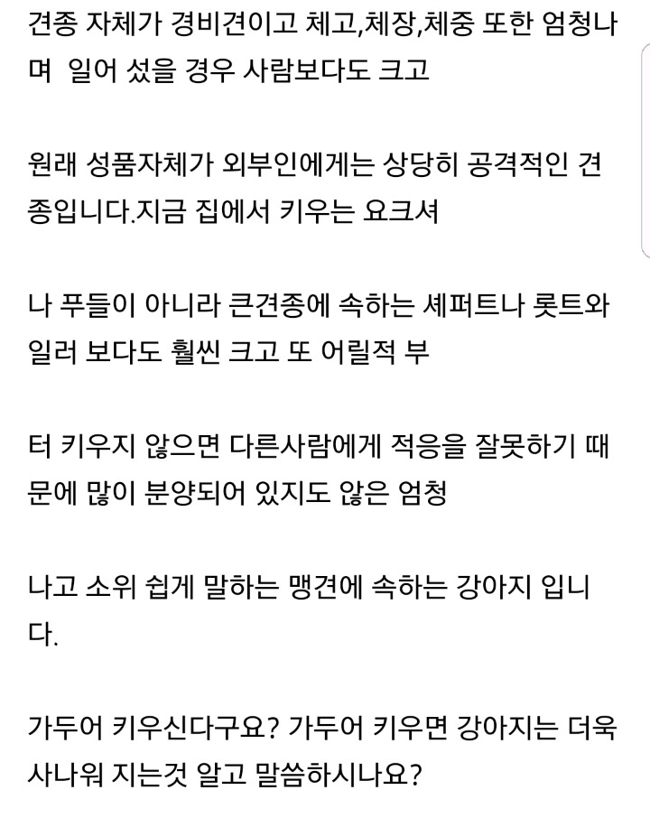 2007년 지식인에 올라왔던 대형견 안락사 고민글.txt | 인스티즈