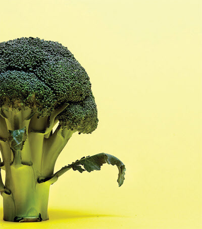 살만 찌고 느끼한 치킨 나부랭이 vs 다이어트에 좋고 다크서클 예방에 효과적인 브로콜리느님 | 인스티즈