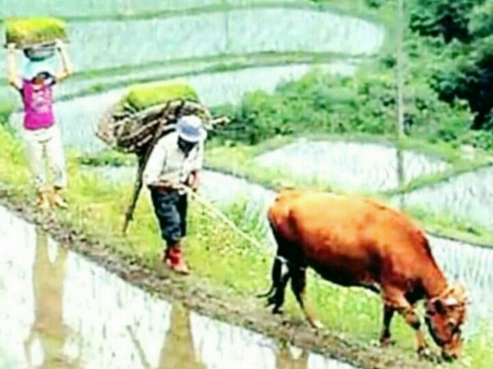 명랑25시 이미지