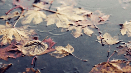 봄 여름 가을 겨울 별 연애 고르기 | 인스티즈
