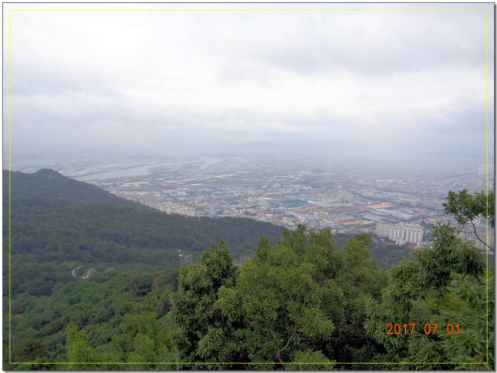 김해화원 이미지