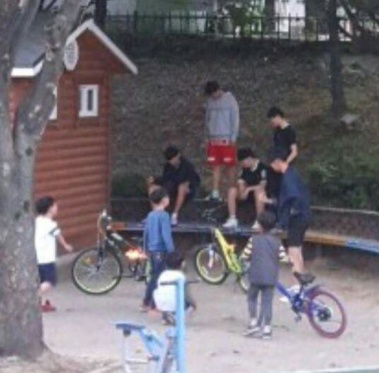 전남 광양시 광양동에서 중딩들 죽은 고양이시체 불태워죽이고 경찰도 그냥 넘어감 (사진있어 조심해) | 인스티즈