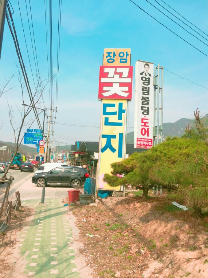 장암화원 이미지