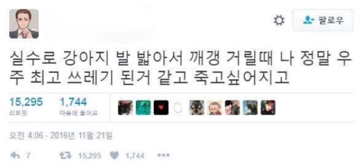 반려동물 키우는 사람들 공감 | 인스티즈