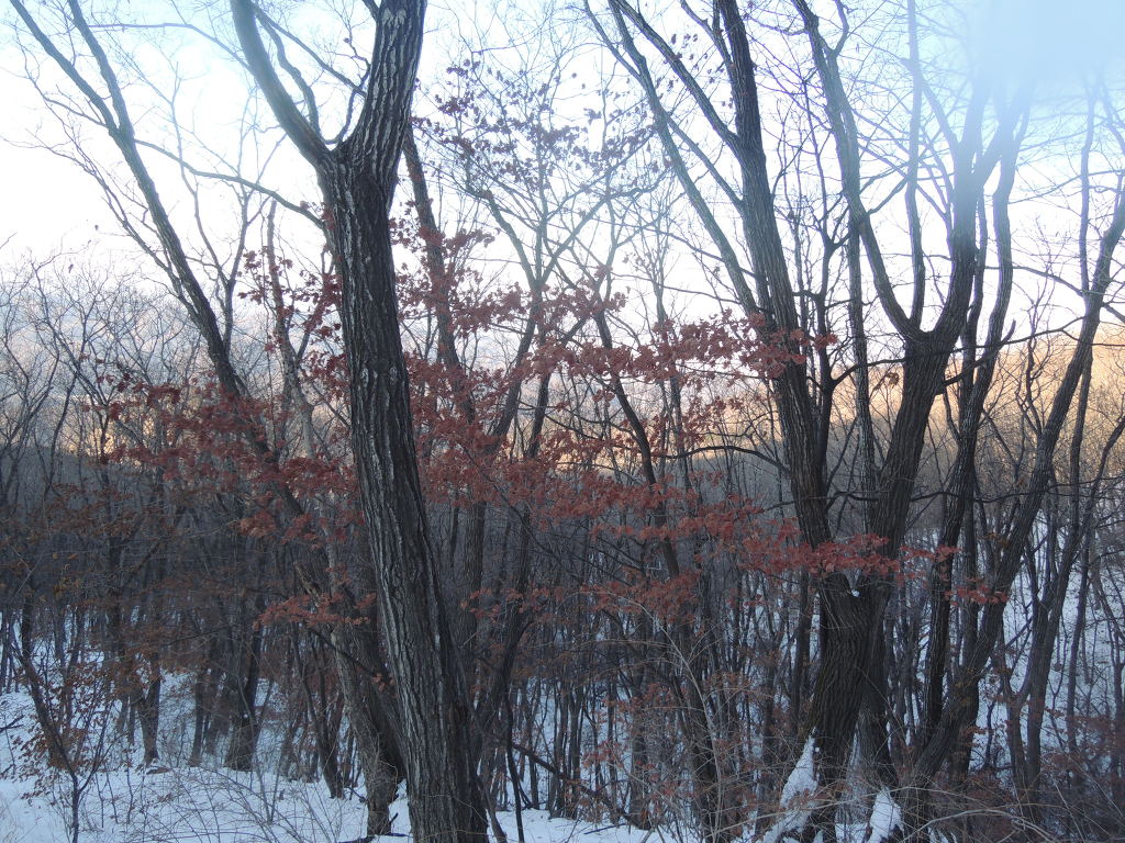 대광봉 정상 이미지