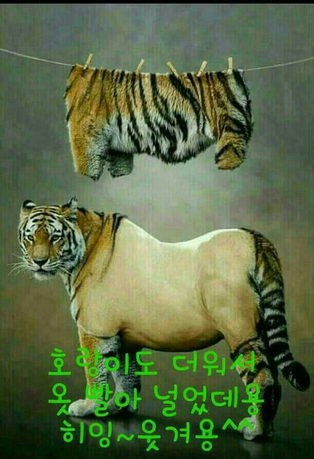 면장님 이미지