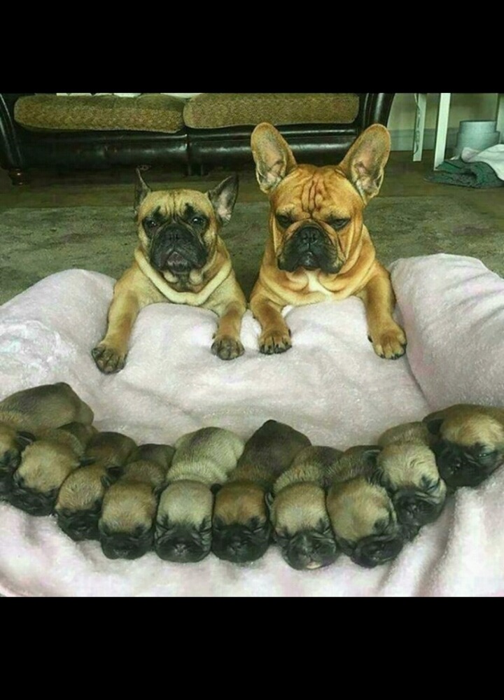 한부부의 자식양육걱정 . jpg | 인스티즈