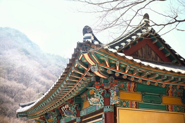 한적하고 마음이 편안해지는 절 풍경 | 인스티즈