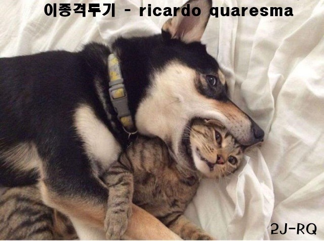 5일간 페이스북에 2억뷰 조회된 가족의 공식 인터뷰.JPGIF - | 인스티즈