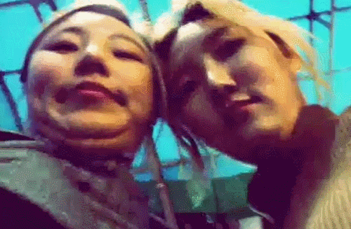 5년정도 모아온 웃긴짤들 (GIF ver.) | 인스티즈