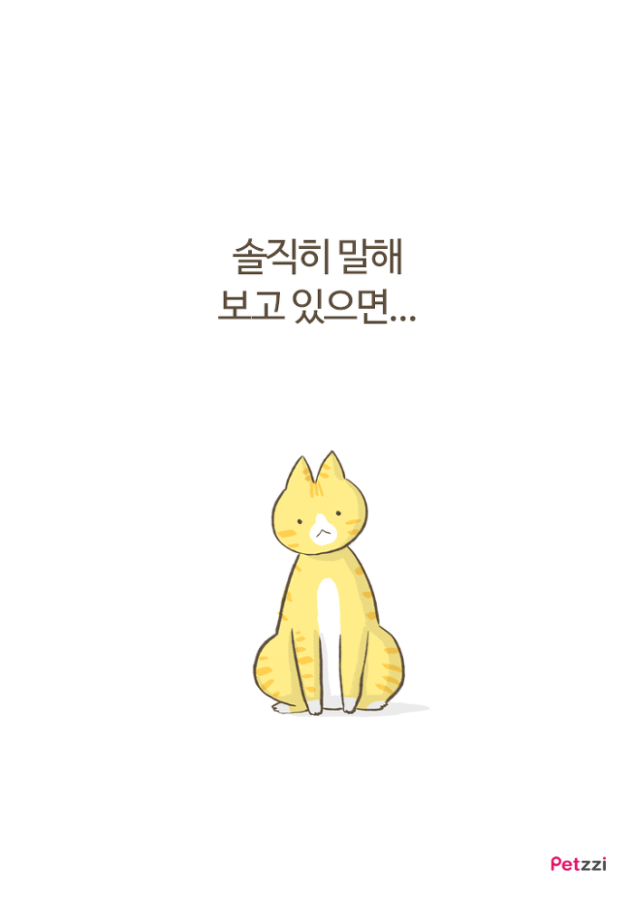 이해할 수 없는 고양이들의 취향.jpg | 인스티즈