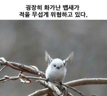 뱁새의 진실 | 인스티즈