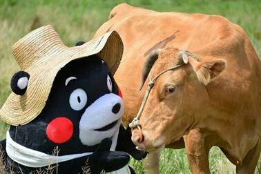 호석 이미지
