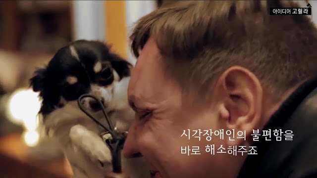 나의 눈이 되어주세요 | 인스티즈
