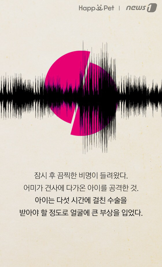 세상에 안 무는 개는 없다 | 인스티즈