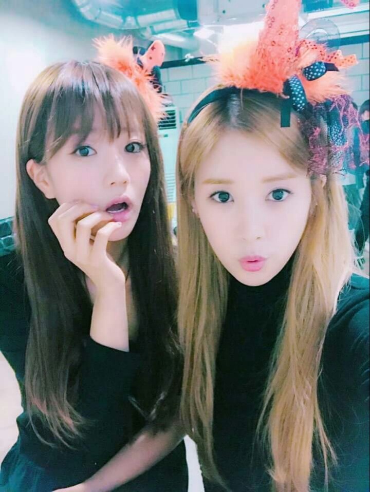 할로원데이 에이핑크 | 인스티즈