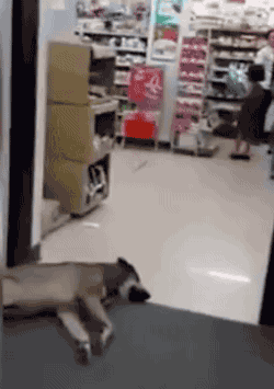 일어나.gif | 인스티즈