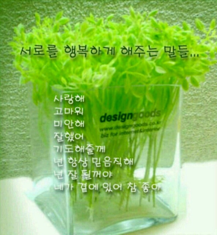 혜바라기 이미지