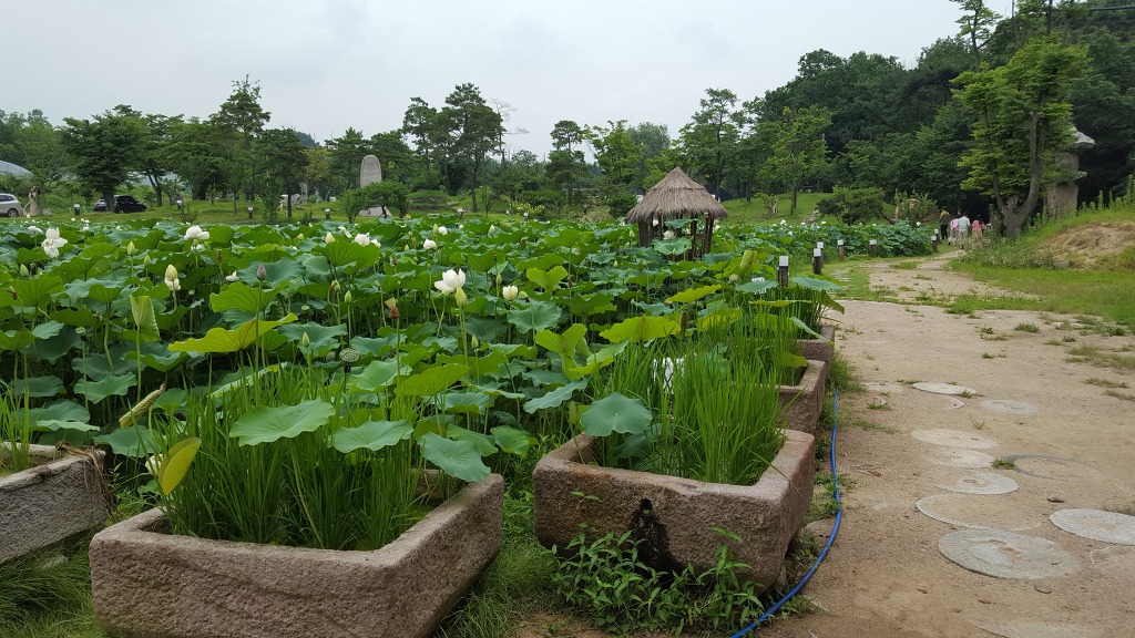 마당식당 이미지