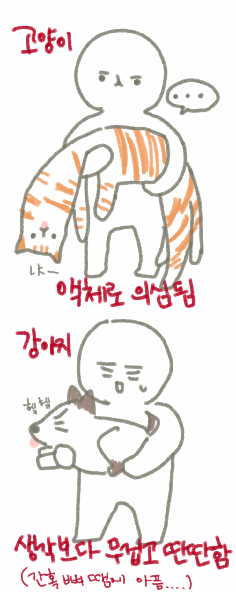 고양이 강아지 안을 때 공감.jpg | 인스티즈