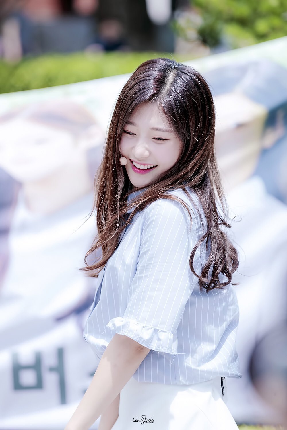 욜로 이미지