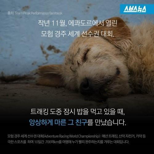 길에서 만난 친구 .jpg | 인스티즈