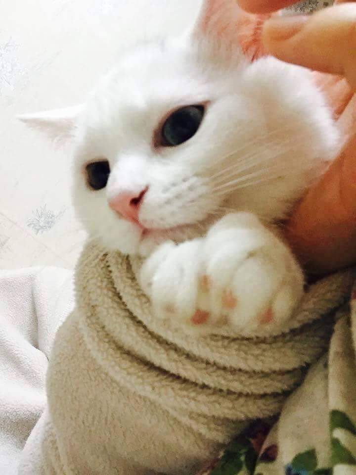 자다가 깼더니 살쪘..? | 인스티즈