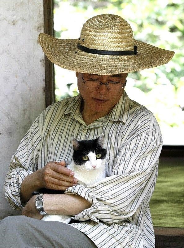 냥집사들 🐱 (사진 엄청많음 주의) | 인스티즈