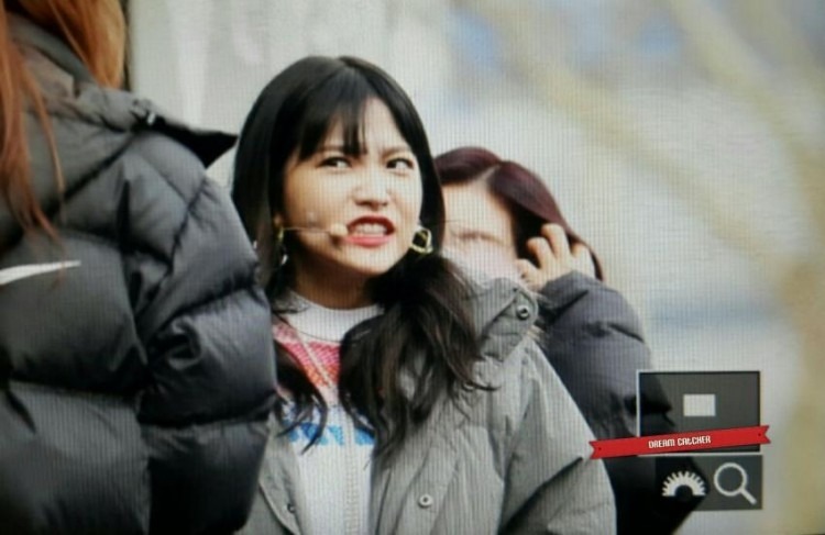 너무 추워서 사나워진 예부기.jpgif | 인스티즈