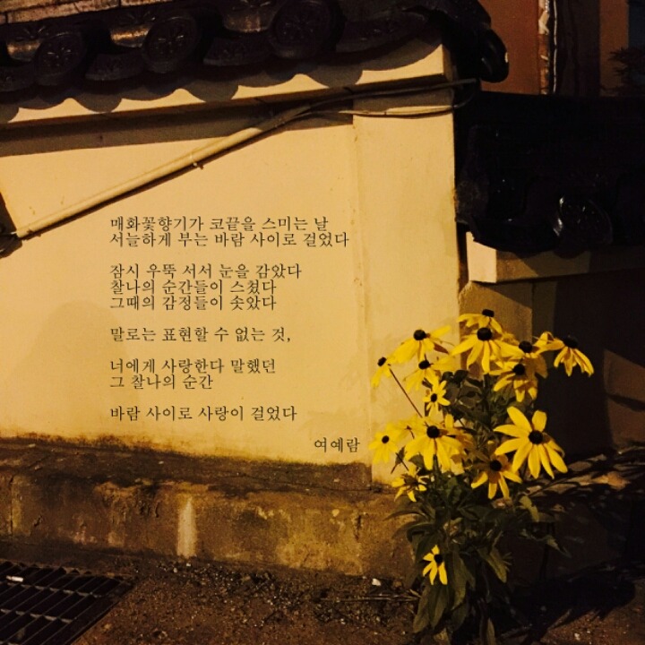 무의식 중에도 나는 왜 네가 생각났는지 모르겠다 - 여예람 | 인스티즈