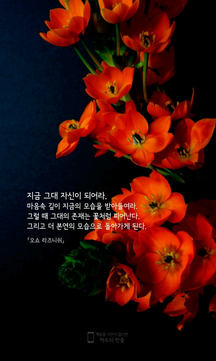 아우라두 이미지